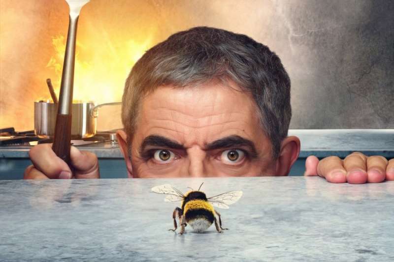 Mężczyzna kontra pszczoła tv sitcom trivia
